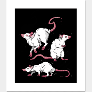 Old School Tattoo Albino Rats Posters and Art
